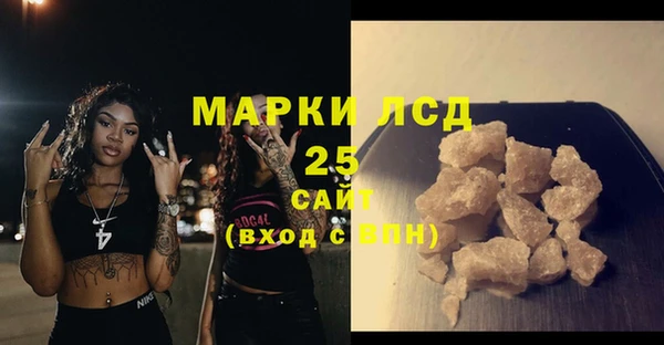 дурь Ельня