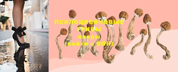 PSILOCYBIN Заволжье