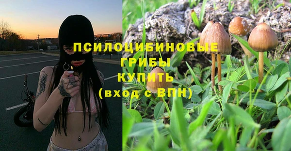 дурь Ельня