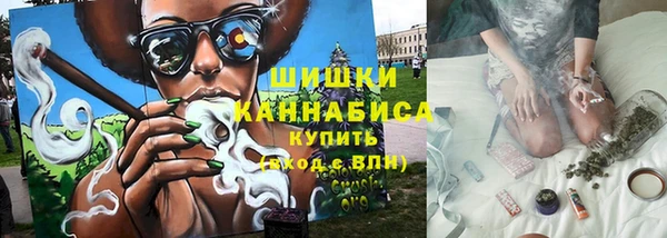 дурь Ельня