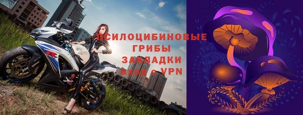 дурь Ельня