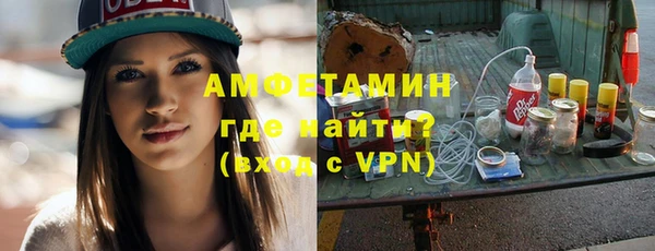 дурь Ельня