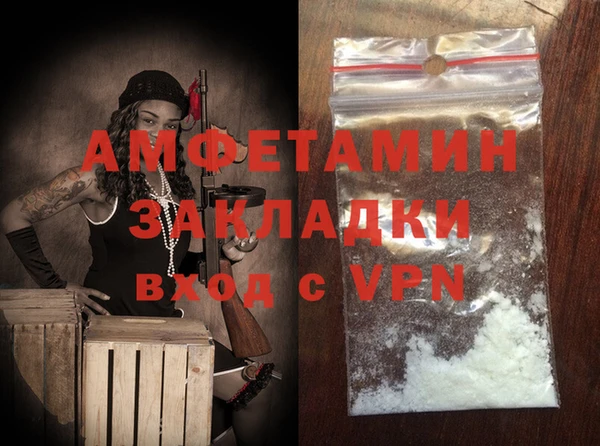 дурь Ельня