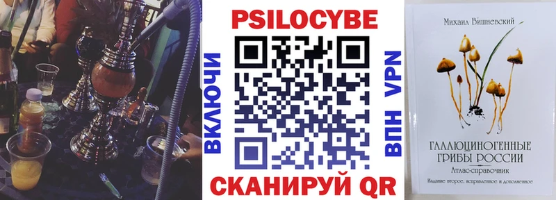 блэк спрут вход  Кандалакша  Псилоцибиновые грибы Cubensis 