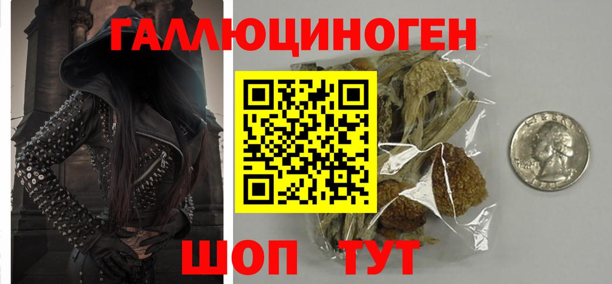 Кандалакша  Псилоцибиновые грибы мухоморы  Вход с VPN 