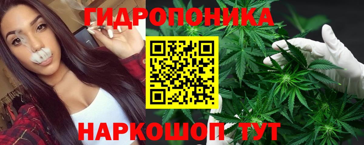 МАРИХУАНА гибрид Кандалакша